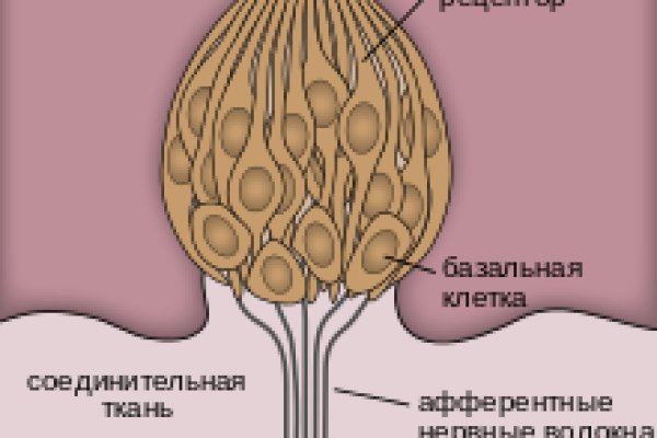 Актуальный сайт кракена