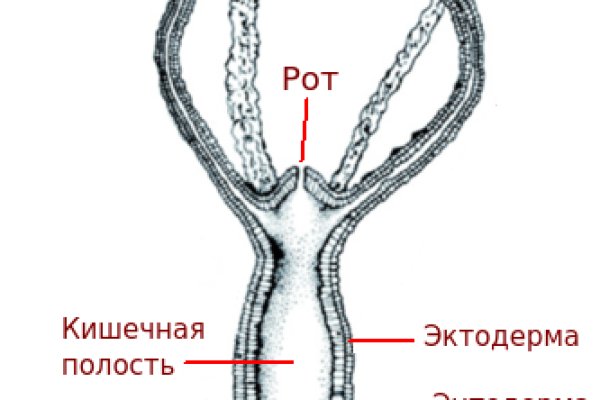 Кракен переходник ссылка